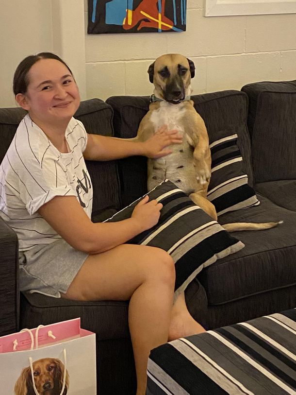 Maisie is really not the guard dog we thought she would be