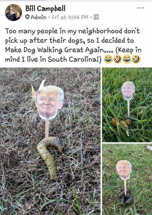 Make dog walking great again