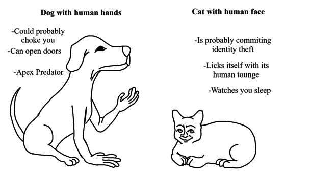 Make your choice