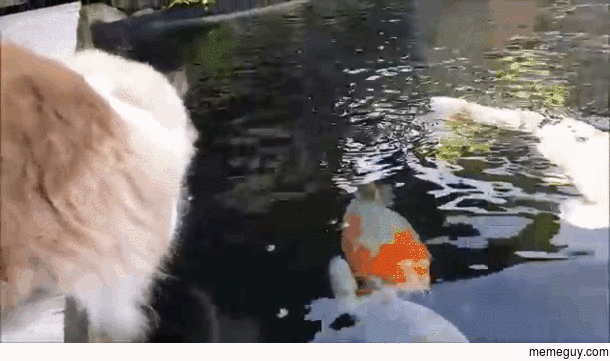 Making New Friends
