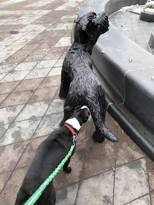 Making new friends at the park