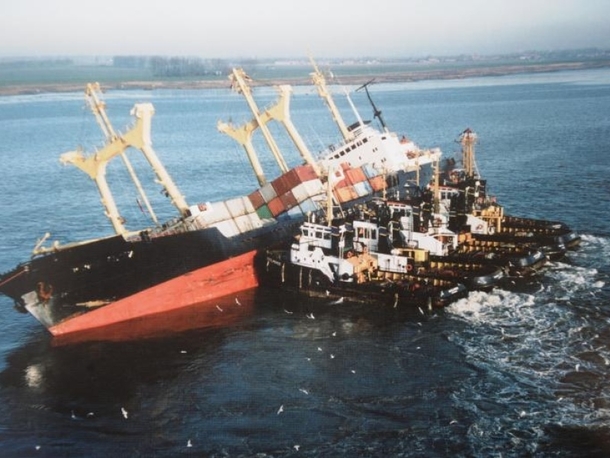 Mama Freighter nursing her young