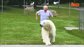 Man and his pet polar bear