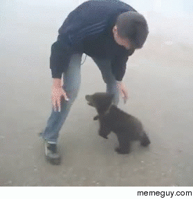 Man attacked by a bear