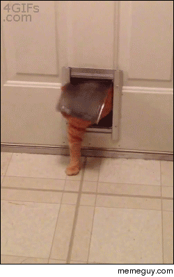 Man I should NOT have had that last lasagna
