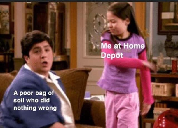 Man Id slap some Home Depot soil rn if I could