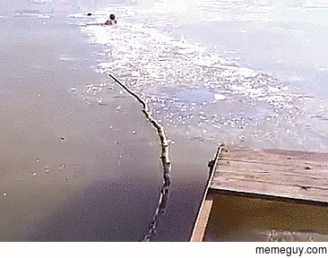 Man saving a dog in ice