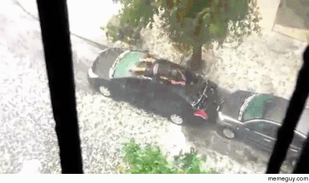 man-tries-to-protect-his-car-from-hail-111605.gif