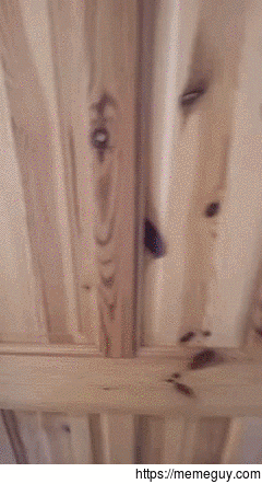 Mans best alarm clock