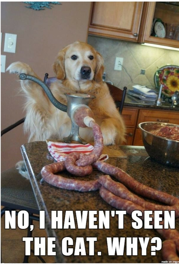 Mans best chef too I guess