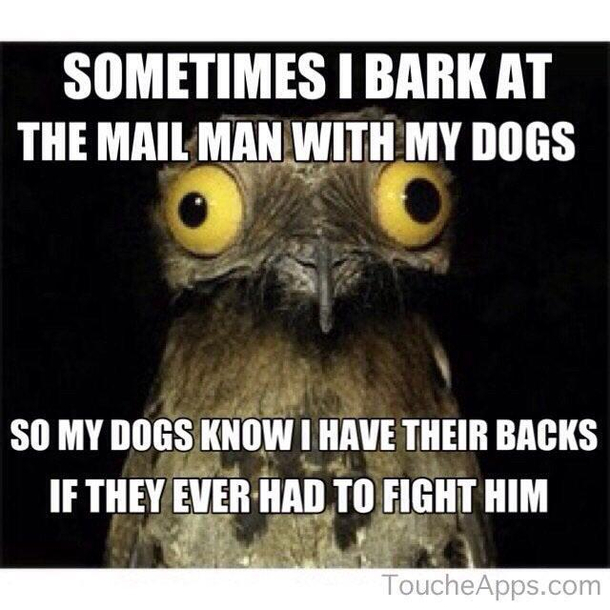 Mans best friend