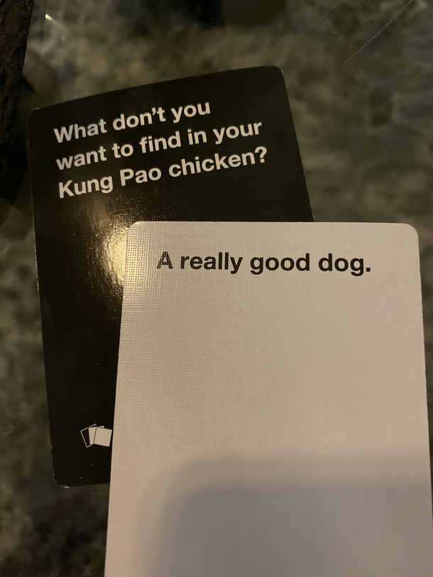 Mans best friend