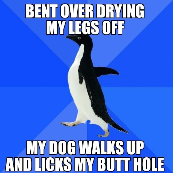 Mans best friend