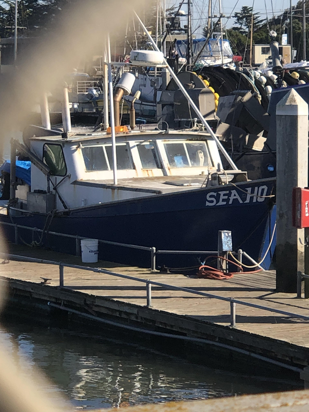 Maritime pimping aint easy