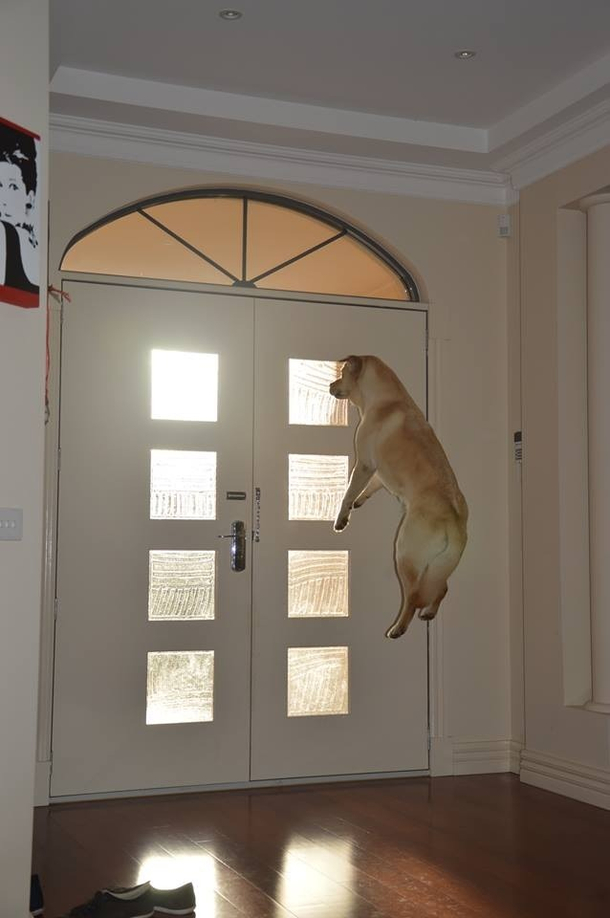 Master has returned