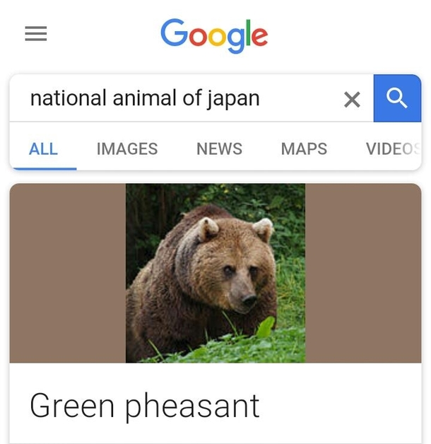Master of disguise