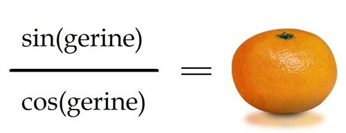 Math puns are the first sine of madness
