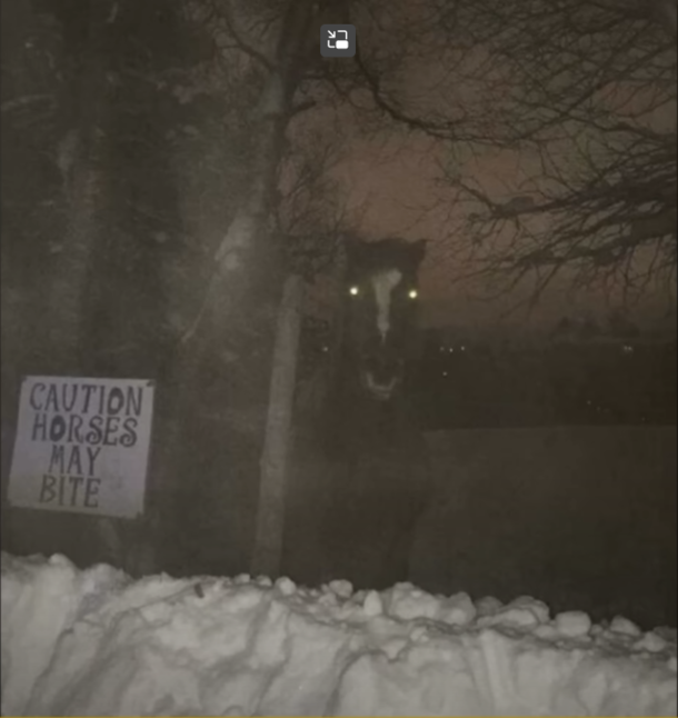may bite