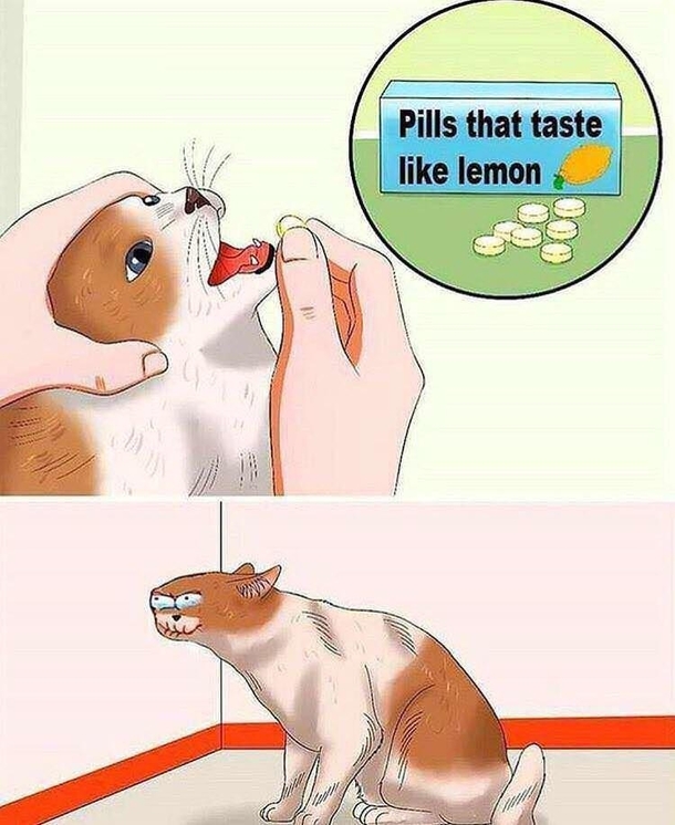 May contain lemon