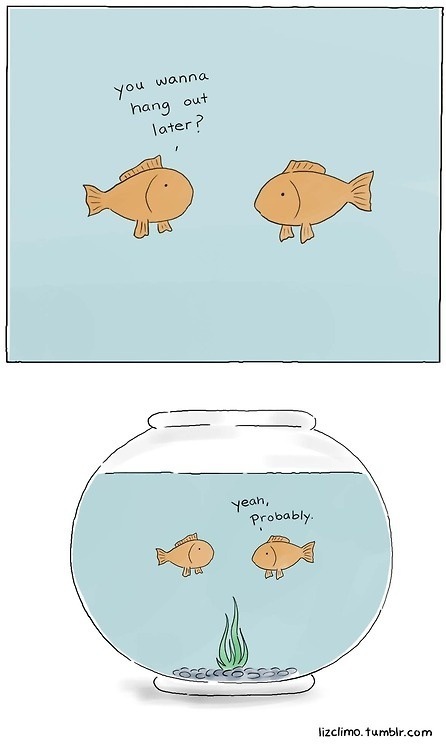 May have been posted before but always makes me laugh