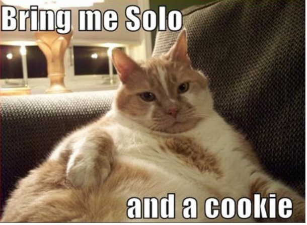 May the th be with you