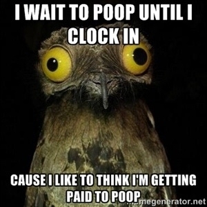 Maybe a little scumbaggy too
