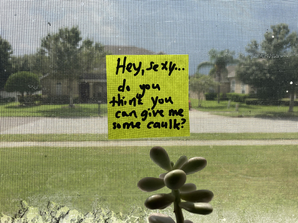 Maybe my husband will fix the window now
