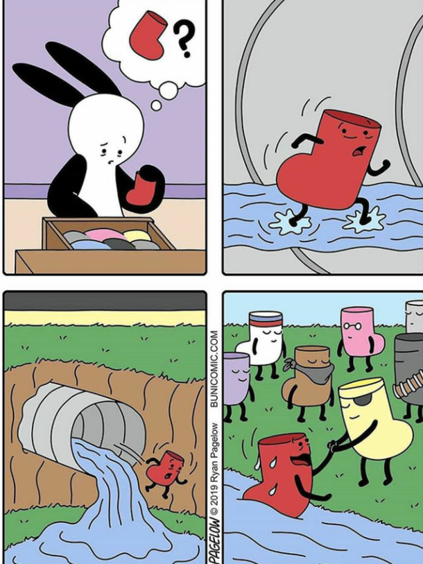 Maybe thats where they all go