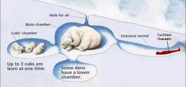 Maybe this would fall on ruselessgraphs or smthng