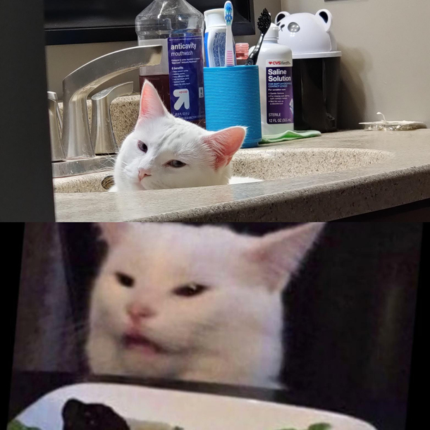 Maybe too similar