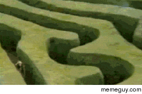 Maze Nightmare