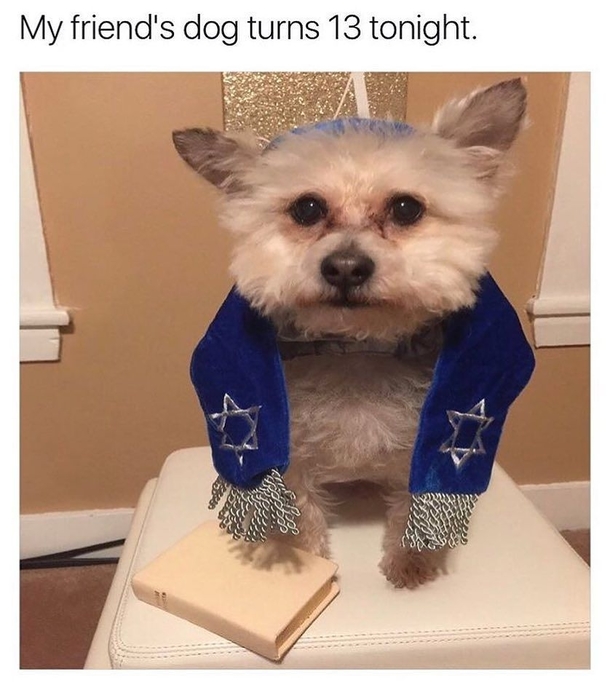 MAZEL WOOF