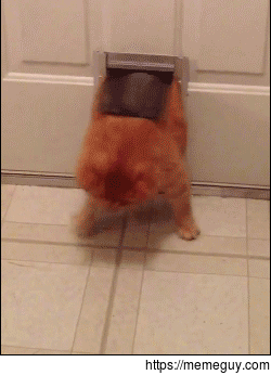 Me after a cheat meal
