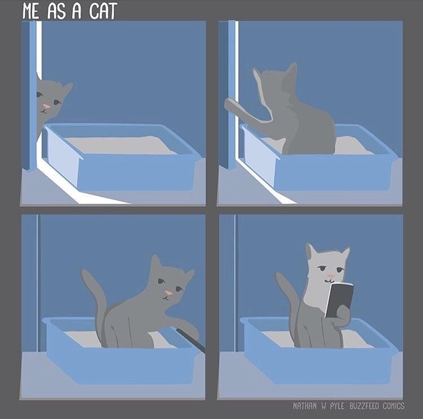 Me as a cat