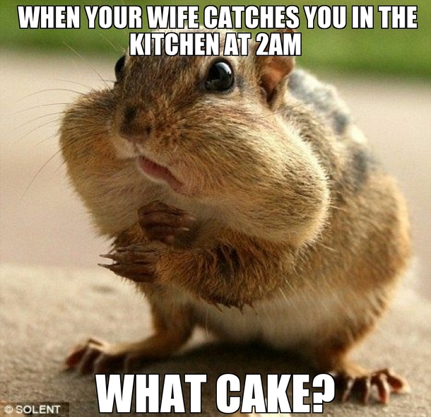 Me at am when there is cake around