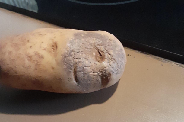 Me opening my eyes to see I have two minutes left before my alarm clock goes off