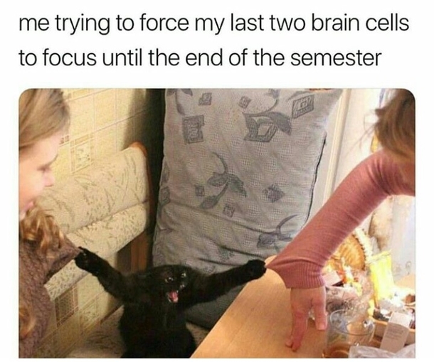 Me rn