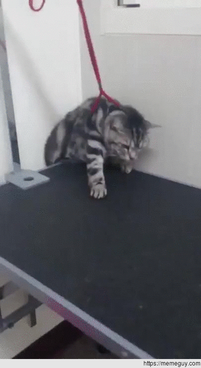 Me sliding out of work this saturday