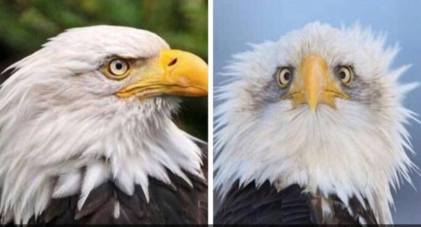 Me thinking what my selfie looks like versus what others see
