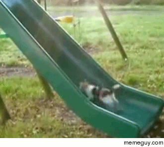 me trying to move up on the company i work for