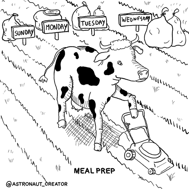 Meal prep
