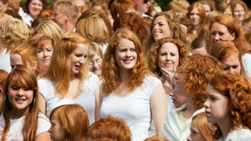 Meanwhile at the weasley family reunion