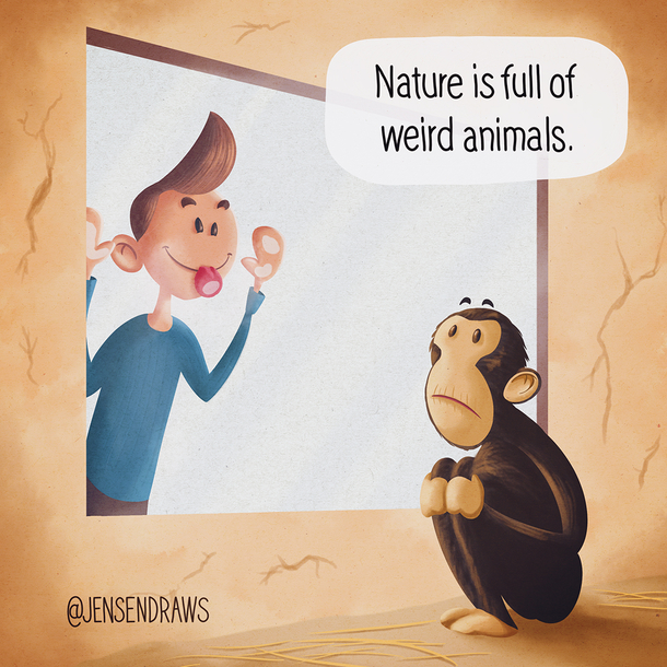 Meanwhile at the zoo