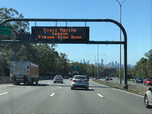 Meanwhile in Brisbane Australia