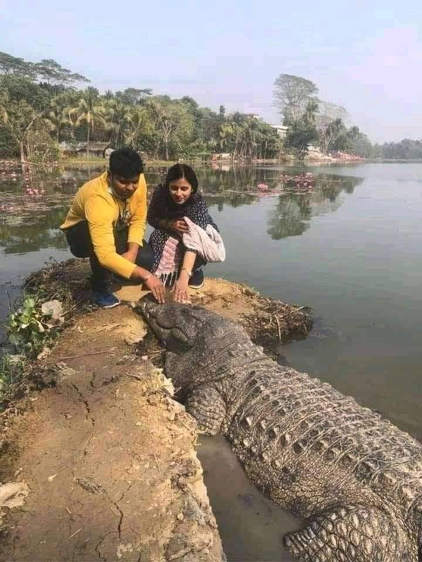 Meanwhile in India