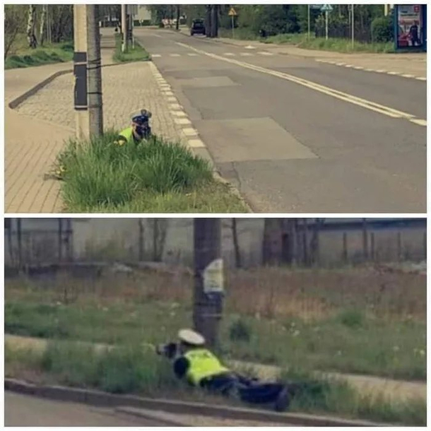 Meanwhile in Poland