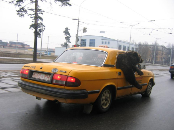 Meanwhile in Russia