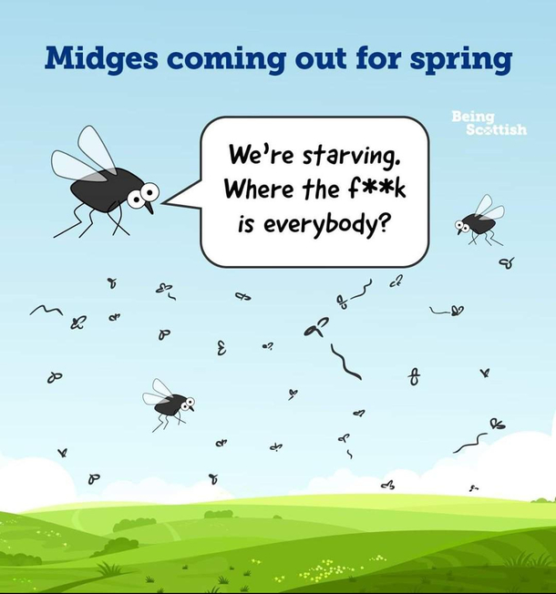 Meanwhile in Scotland