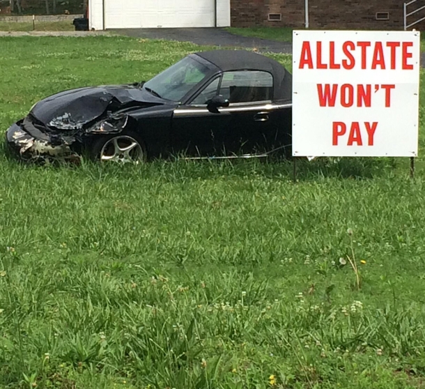 Meanwhile in some dudes yard