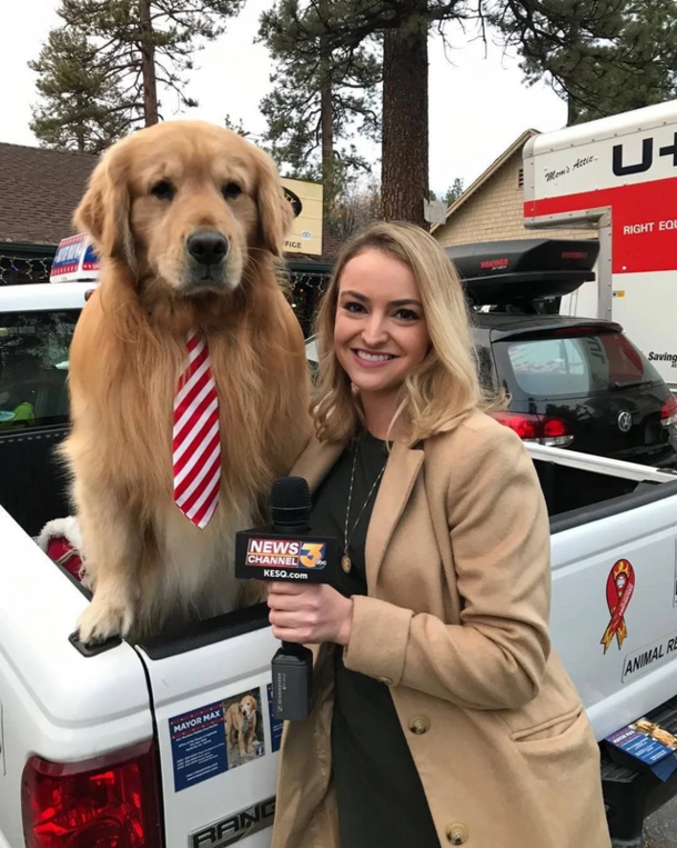 Meed The Mayor Of Idyllwild Ca His Name Is Max Hes A Very Good Boi